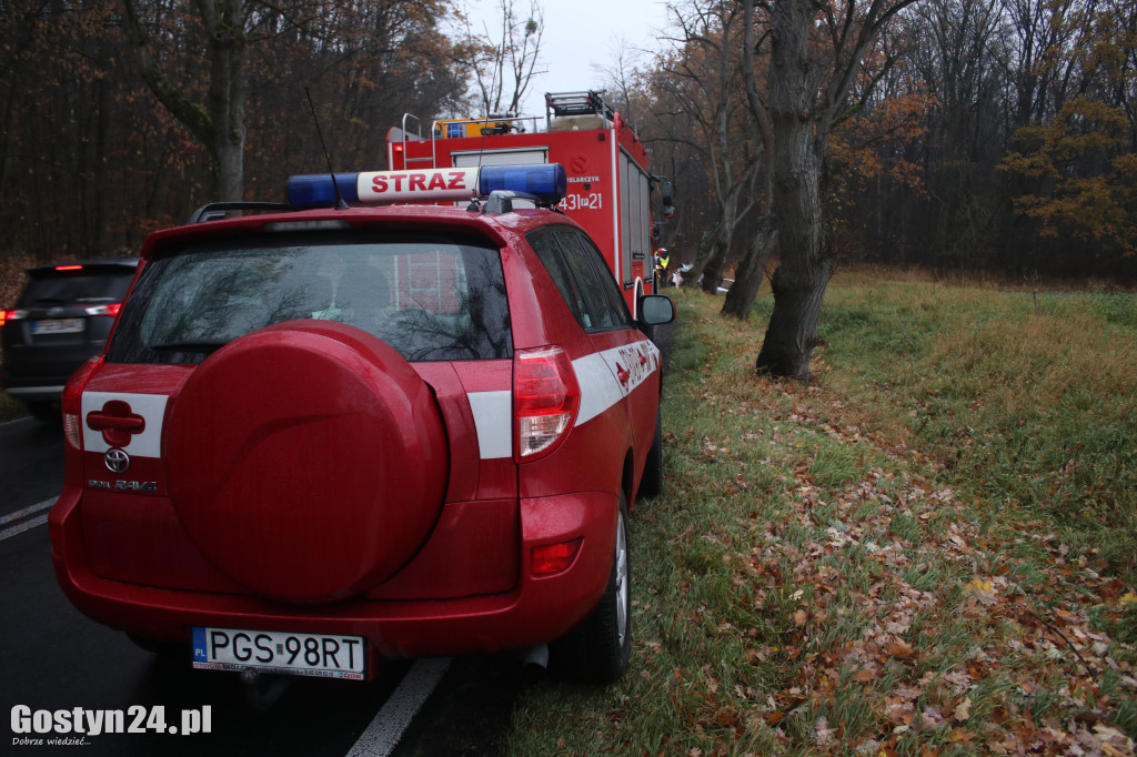 Zdarzenie drogowe na trasie Koszkowo-Studzianna