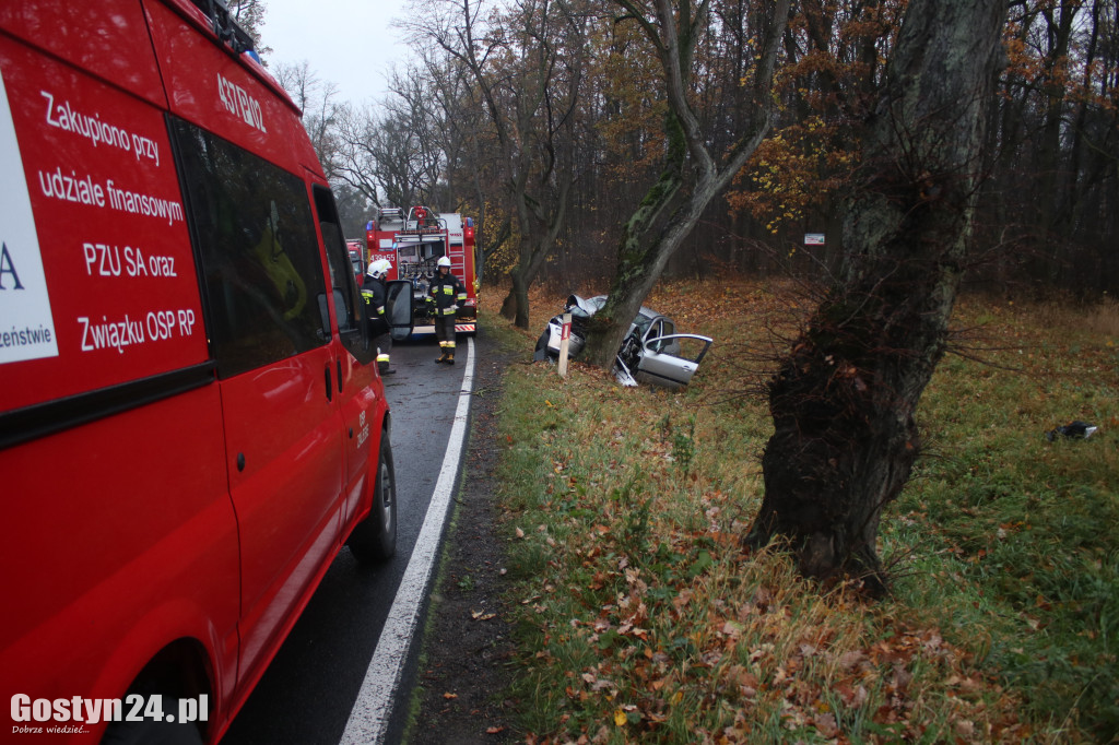 Zdarzenie drogowe na trasie Koszkowo-Studzianna