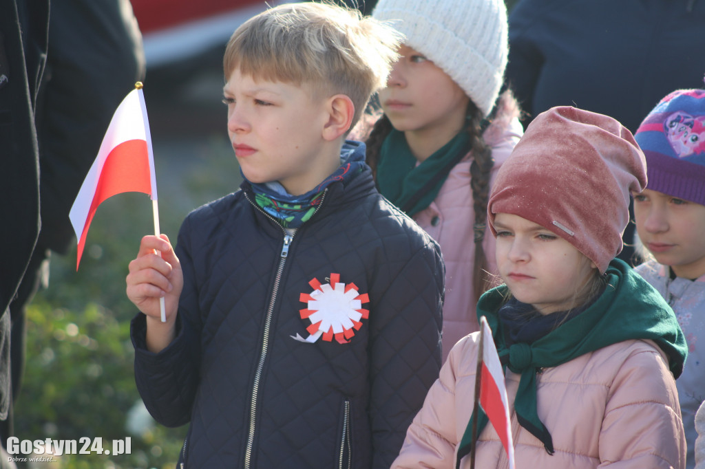 Uroczystości z okazji Dnia Niepodległości w Borku Wlkp.