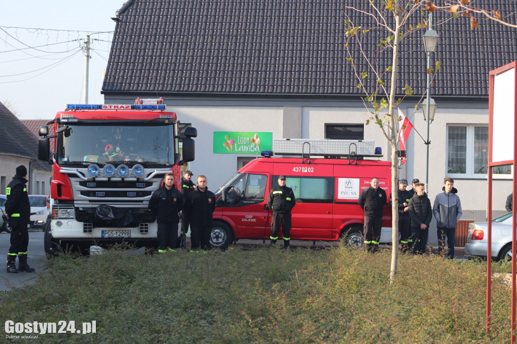 Uroczystości z okazji Dnia Niepodległości w Borku Wlkp.