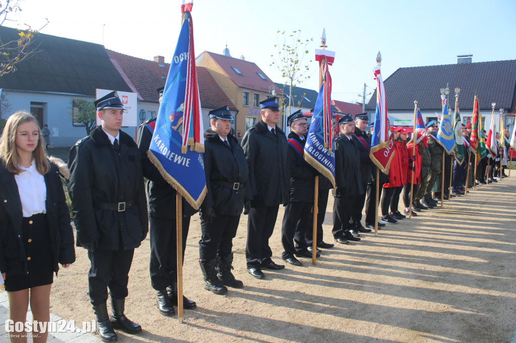Uroczystości z okazji Dnia Niepodległości w Borku Wlkp.