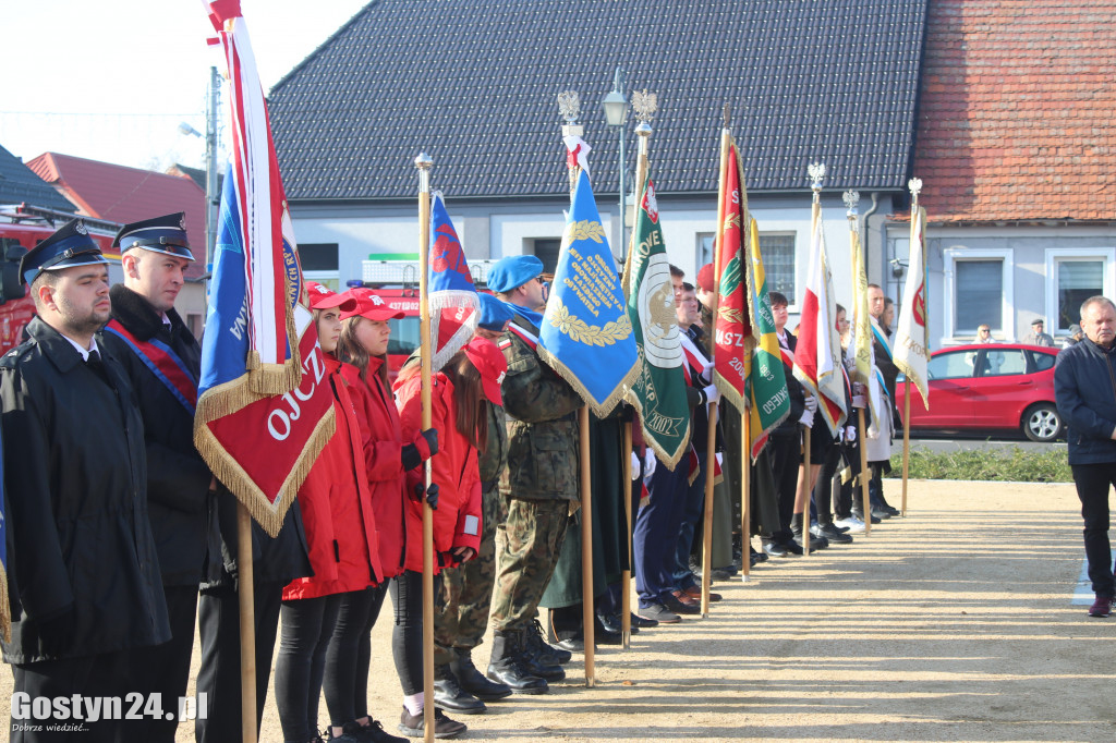 Uroczystości z okazji Dnia Niepodległości w Borku Wlkp.