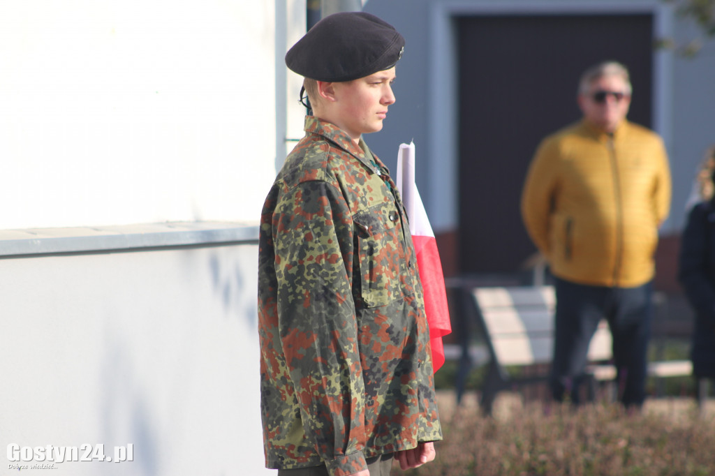 Uroczystości z okazji Dnia Niepodległości w Borku Wlkp.