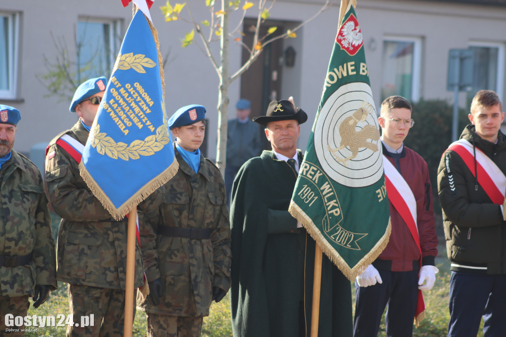 Uroczystości z okazji Dnia Niepodległości w Borku Wlkp.