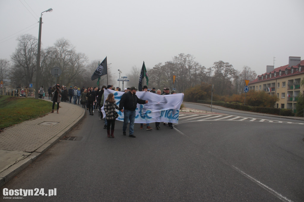 Marsz dla życia i festyn dla Dawida w Gostyniu