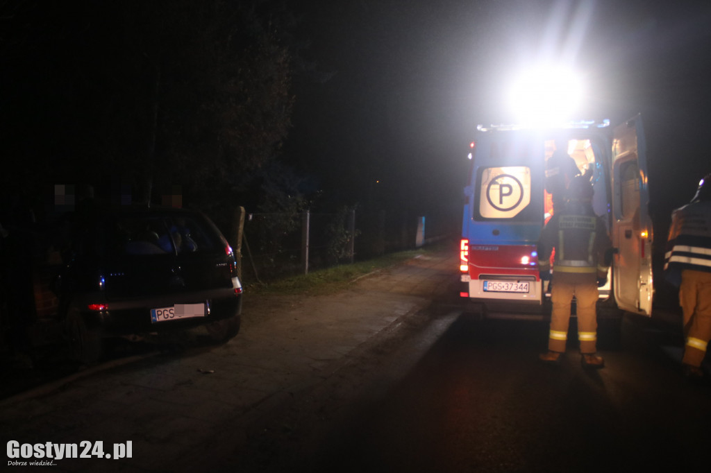 Auto wjechało w środku nocy w płot w Podrzeczu