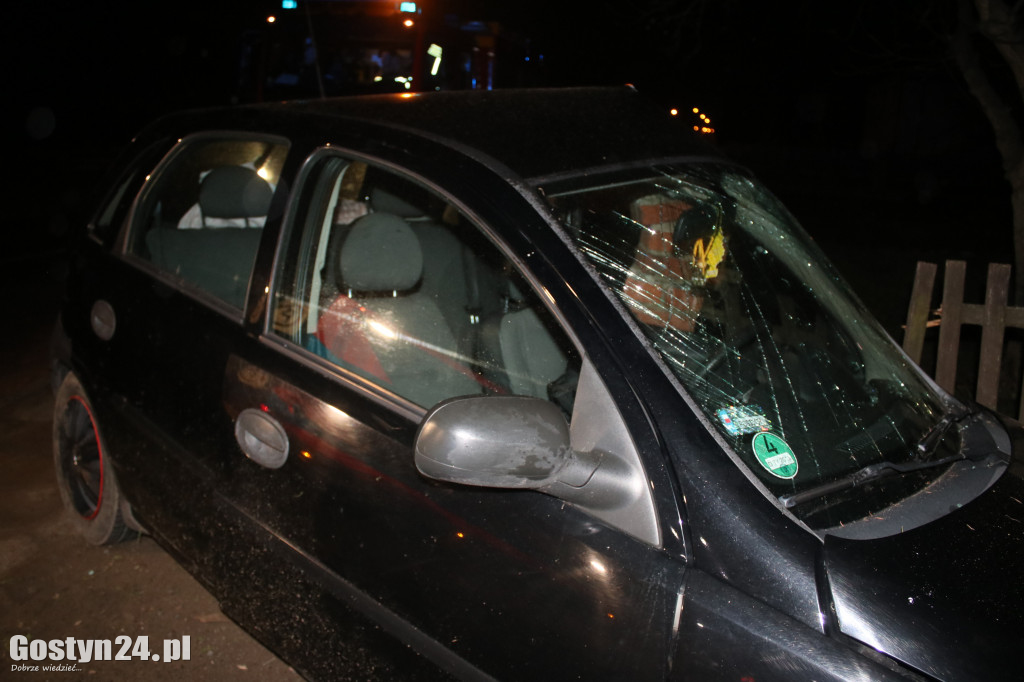 Auto wjechało w środku nocy w płot w Podrzeczu