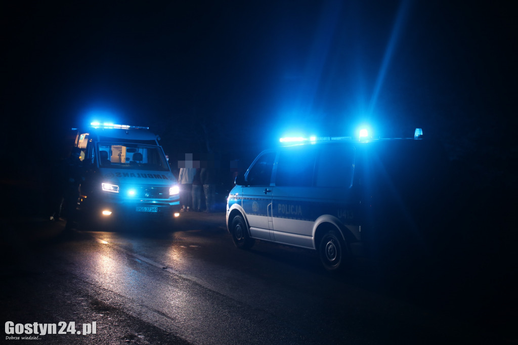 Auto wjechało w środku nocy w płot w Podrzeczu