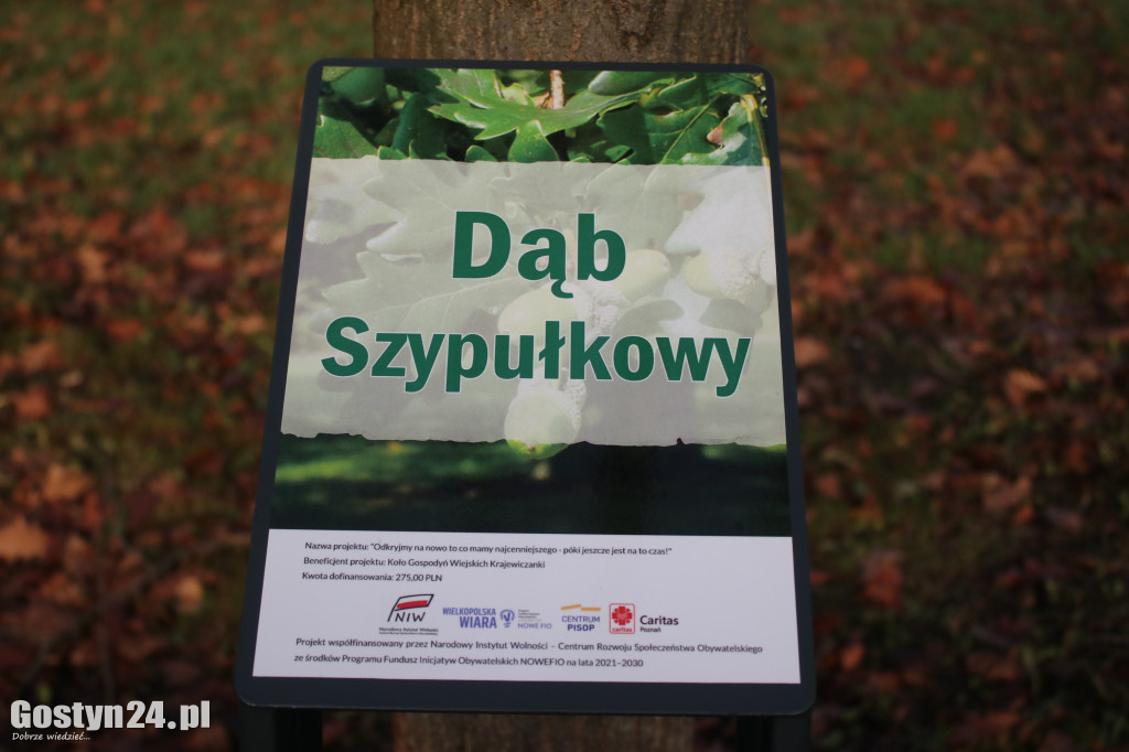 KGW Krajewice podsumowało projekt