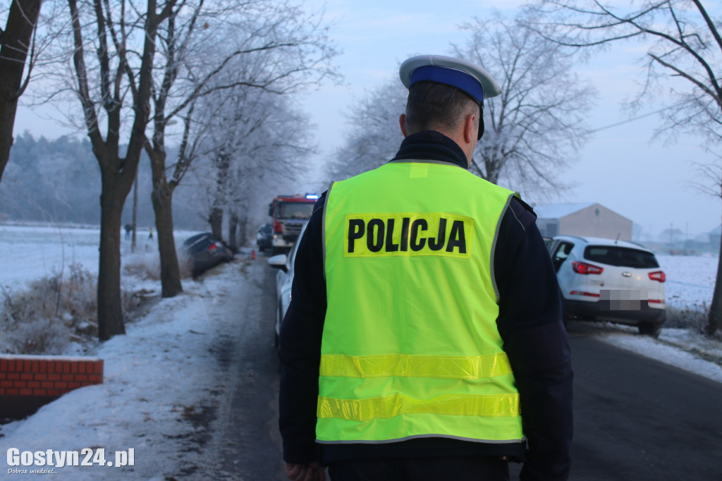 Samochód uderzył w drzewo na trasie Strumiany-Borek WlKp.
