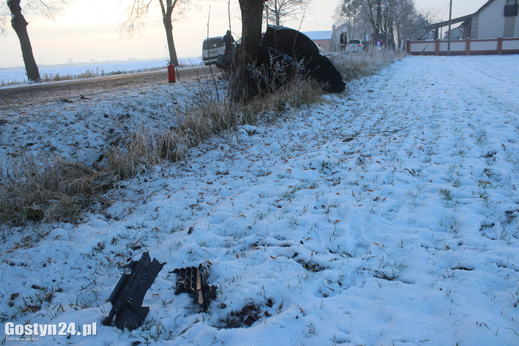 Samochód uderzył w drzewo na trasie Strumiany-Borek WlKp.