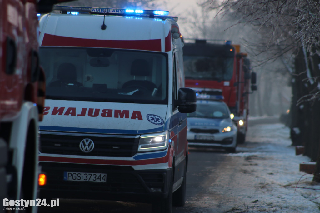 Samochód uderzył w drzewo na trasie Strumiany-Borek WlKp.