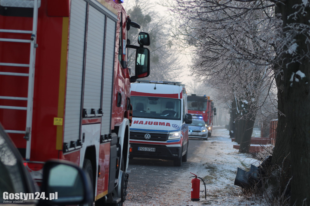 Samochód uderzył w drzewo na trasie Strumiany-Borek WlKp.
