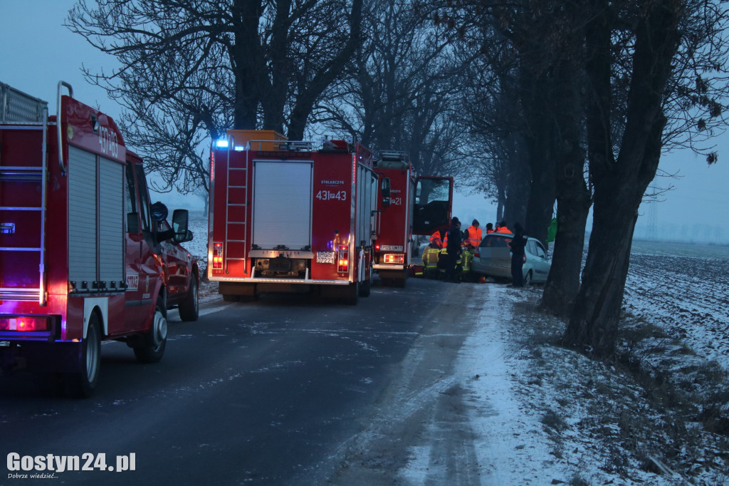 W Taniecznicy samochód osobowy uderzył w drzewo