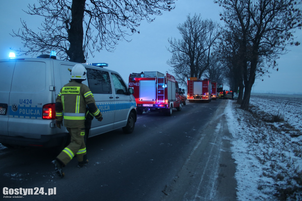 W Taniecznicy samochód osobowy uderzył w drzewo