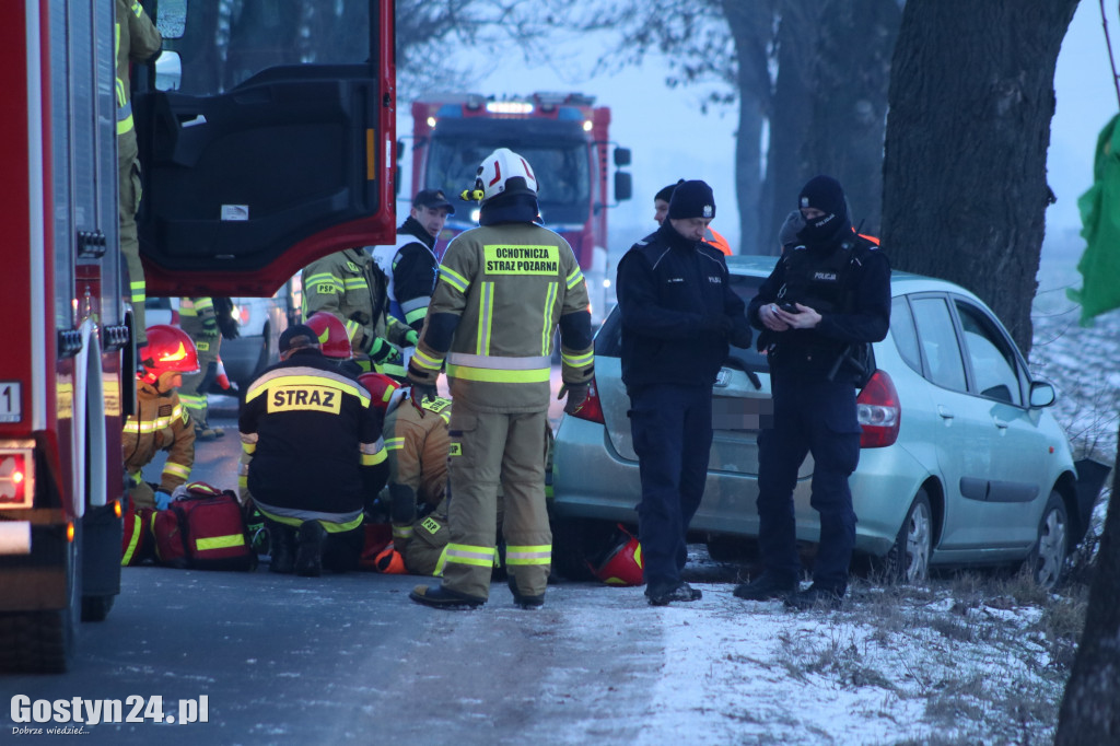 W Taniecznicy samochód osobowy uderzył w drzewo