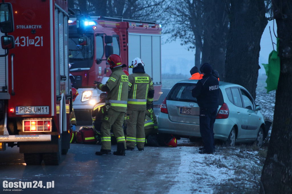 W Taniecznicy samochód osobowy uderzył w drzewo