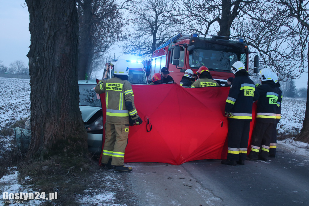 W Taniecznicy samochód osobowy uderzył w drzewo