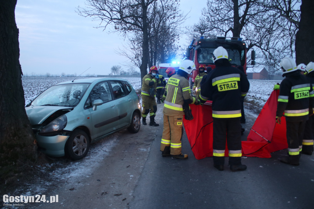 W Taniecznicy samochód osobowy uderzył w drzewo