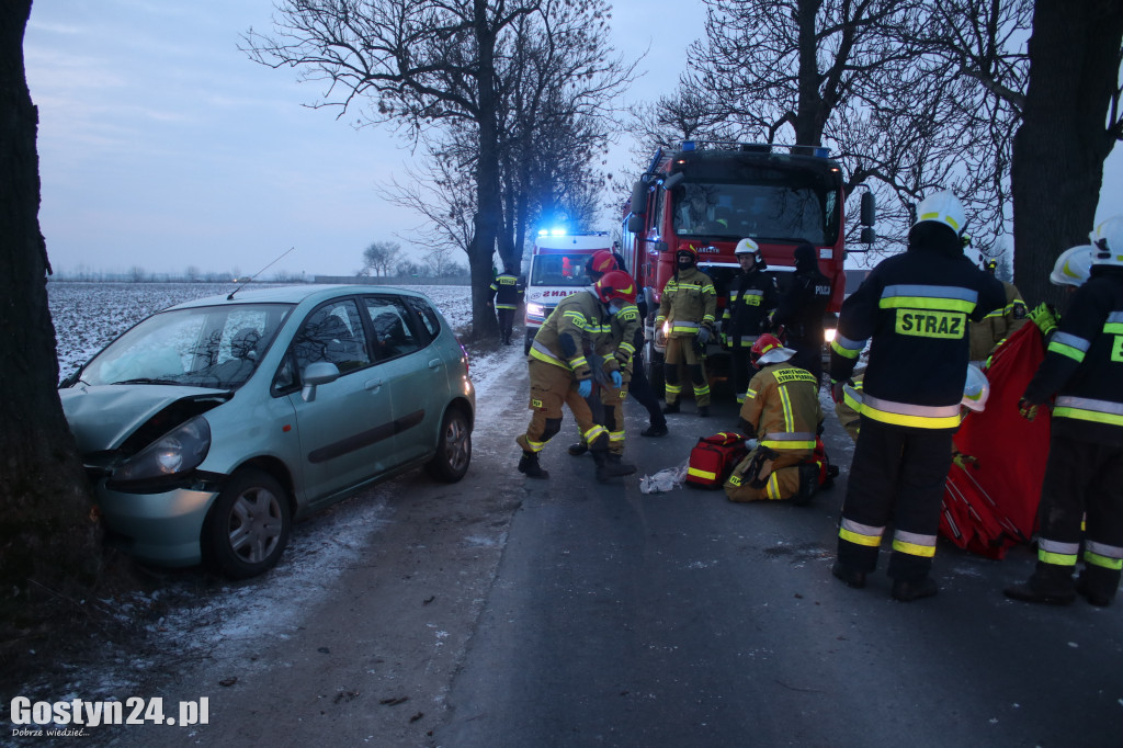W Taniecznicy samochód osobowy uderzył w drzewo