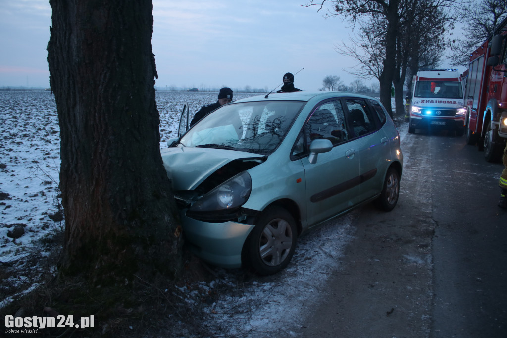 W Taniecznicy samochód osobowy uderzył w drzewo