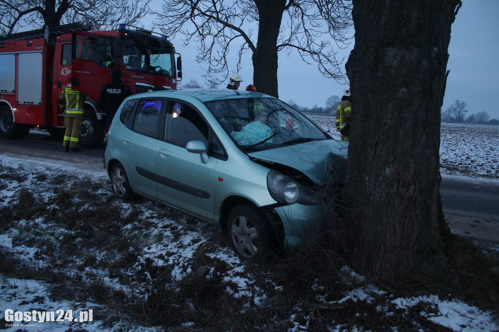 W Taniecznicy samochód osobowy uderzył w drzewo