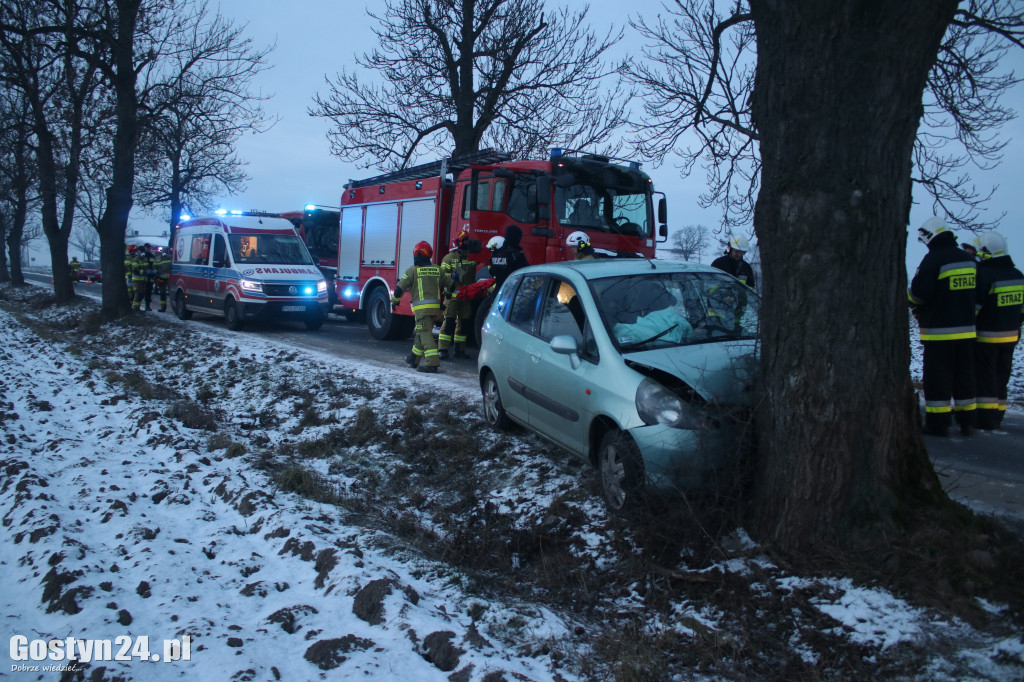 W Taniecznicy samochód osobowy uderzył w drzewo