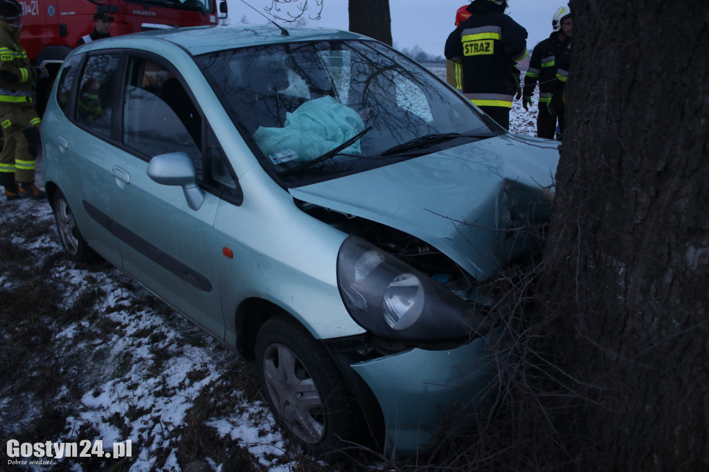 W Taniecznicy samochód osobowy uderzył w drzewo
