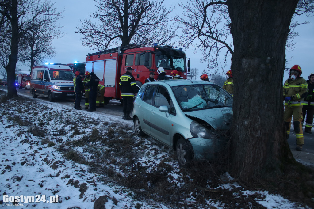 W Taniecznicy samochód osobowy uderzył w drzewo
