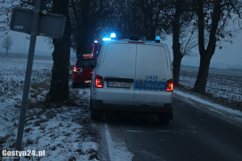 W Taniecznicy samochód osobowy uderzył w drzewo