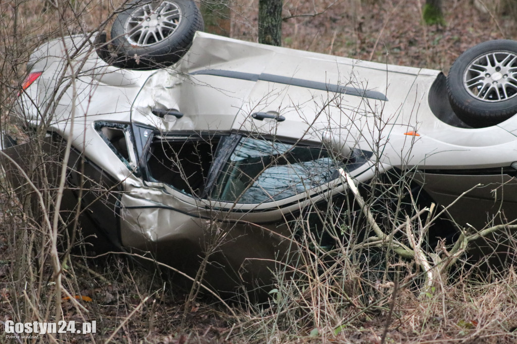 Samochód wypadł z drogi na trasie Karzec-Dzięczyna