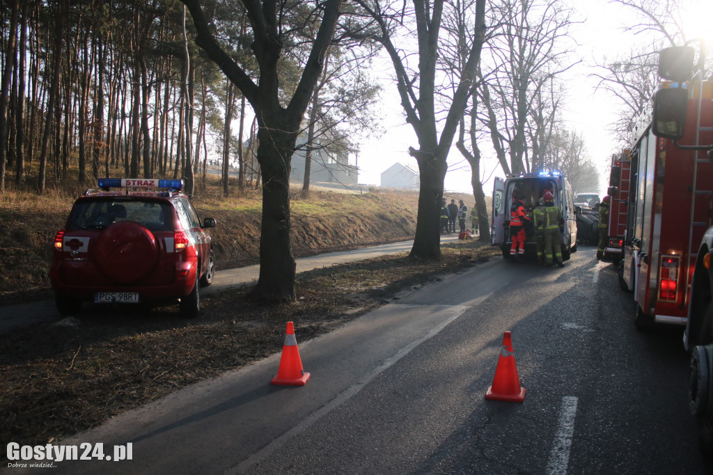 Zdarzenie drogowe na trasie Strzelce Wielkie - Piaski