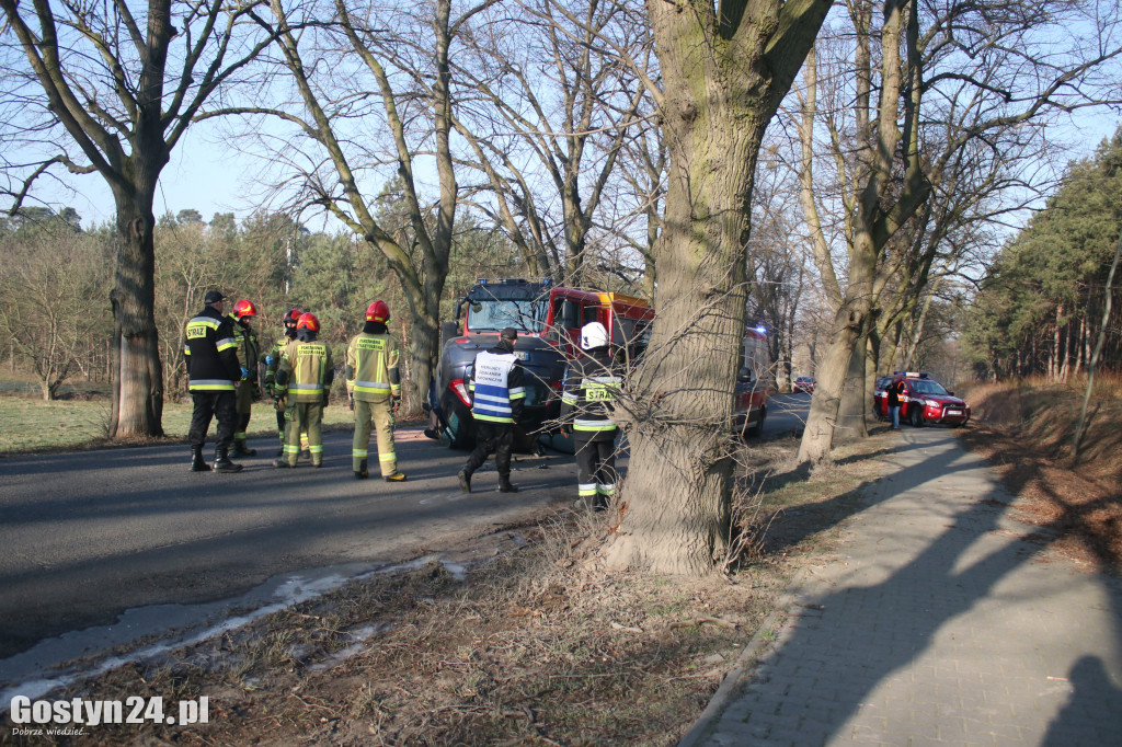 Zdarzenie drogowe na trasie Strzelce Wielkie - Piaski