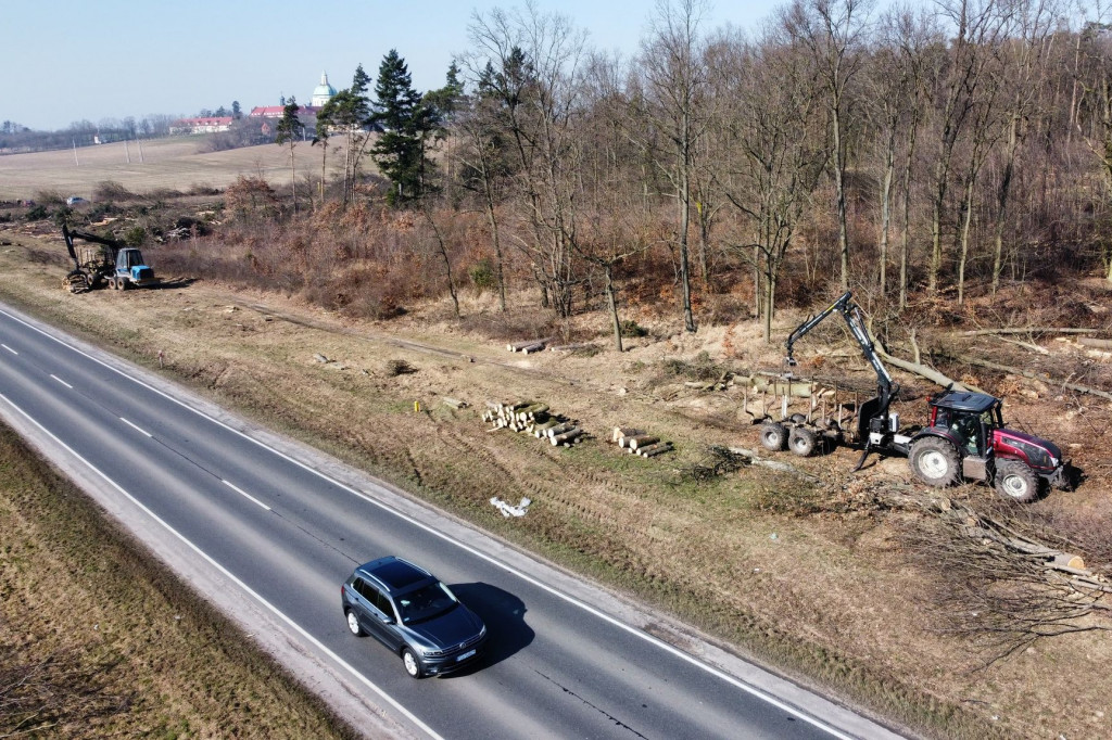 Wycinka drzew na trasie planowanej obwodnicy i pierwsze prace ziemne