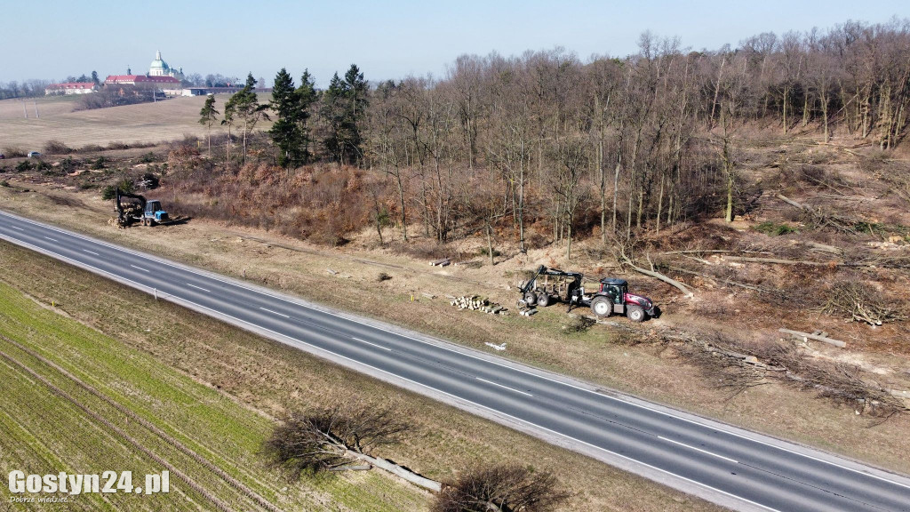 Wycinka drzew na trasie planowanej obwodnicy i pierwsze prace ziemne