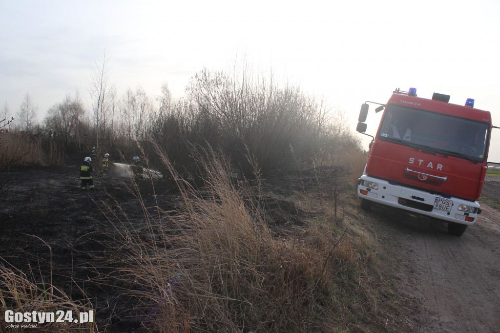 Pożar przy polnej drodze. W akcji 7 zastępów strażaków