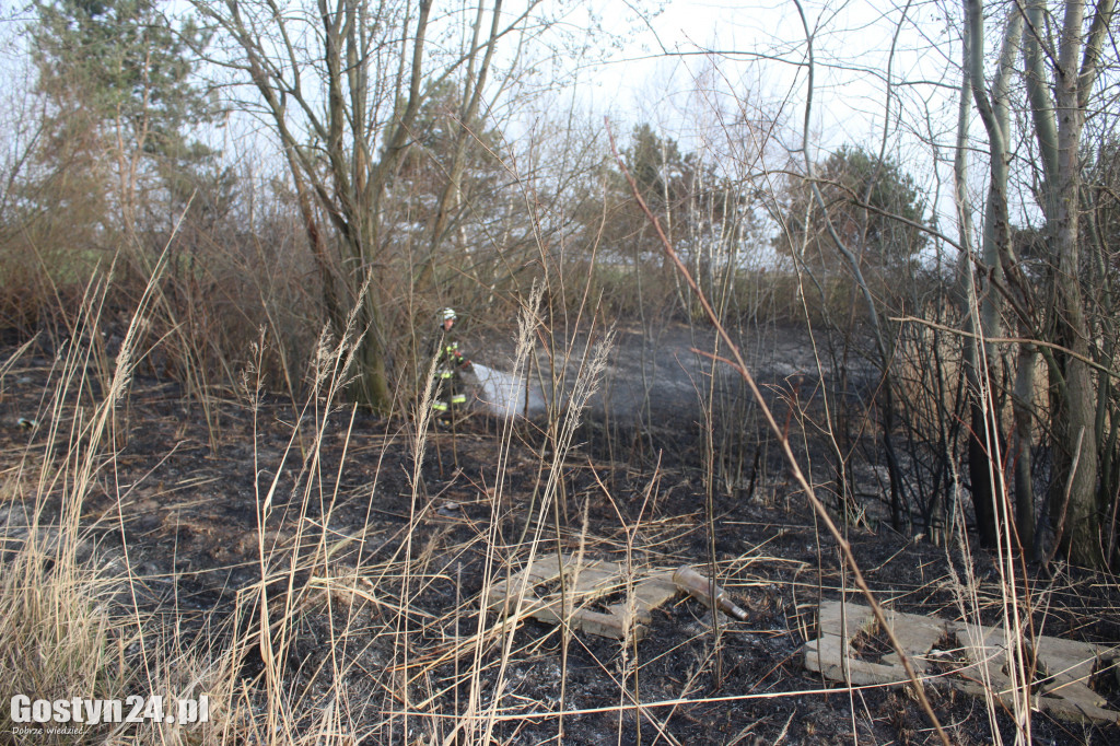 Pożar przy polnej drodze. W akcji 7 zastępów strażaków
