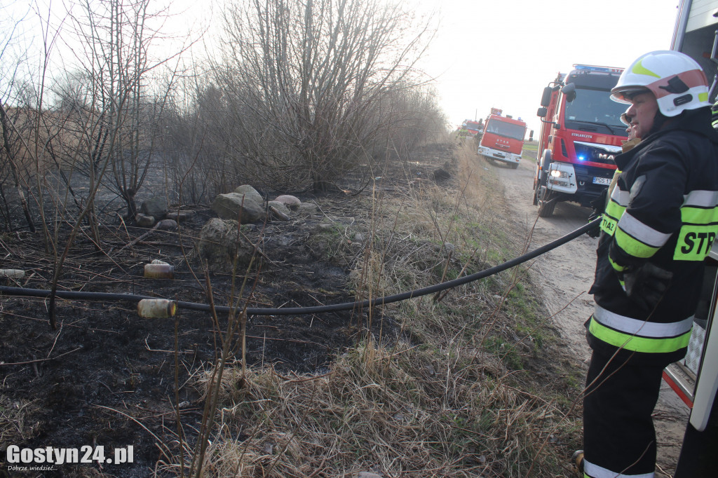 Pożar przy polnej drodze. W akcji 7 zastępów strażaków