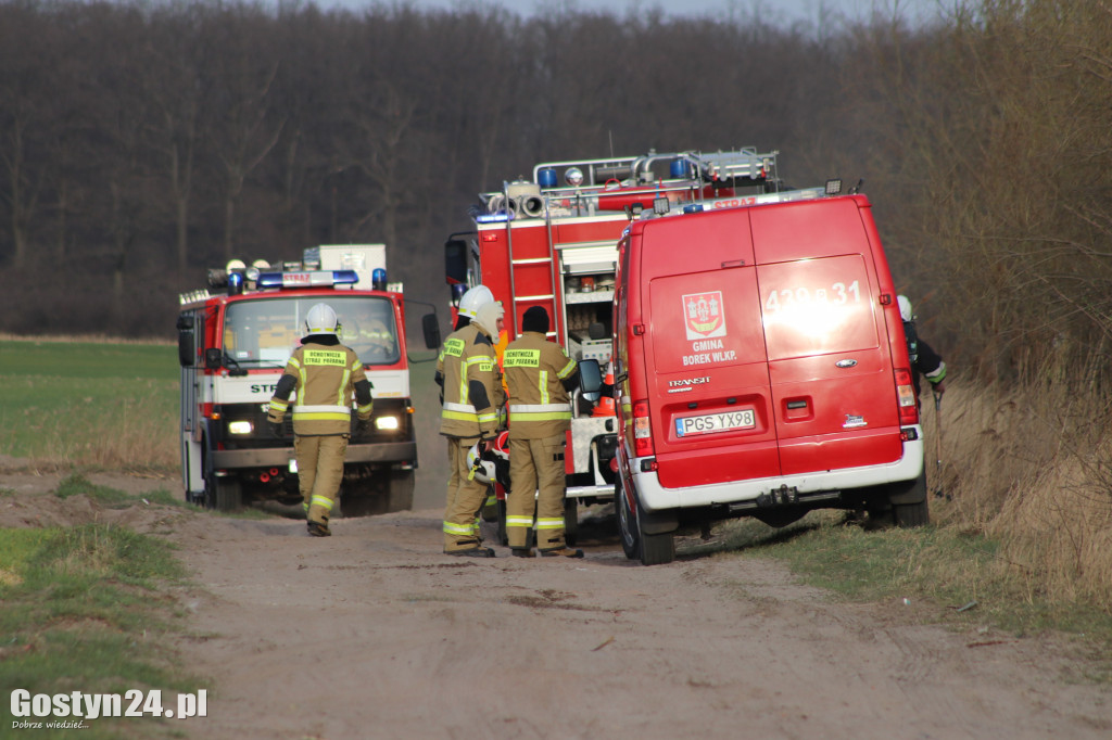 Pożar przy polnej drodze. W akcji 7 zastępów strażaków