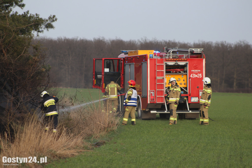 Pożar przy polnej drodze. W akcji 7 zastępów strażaków