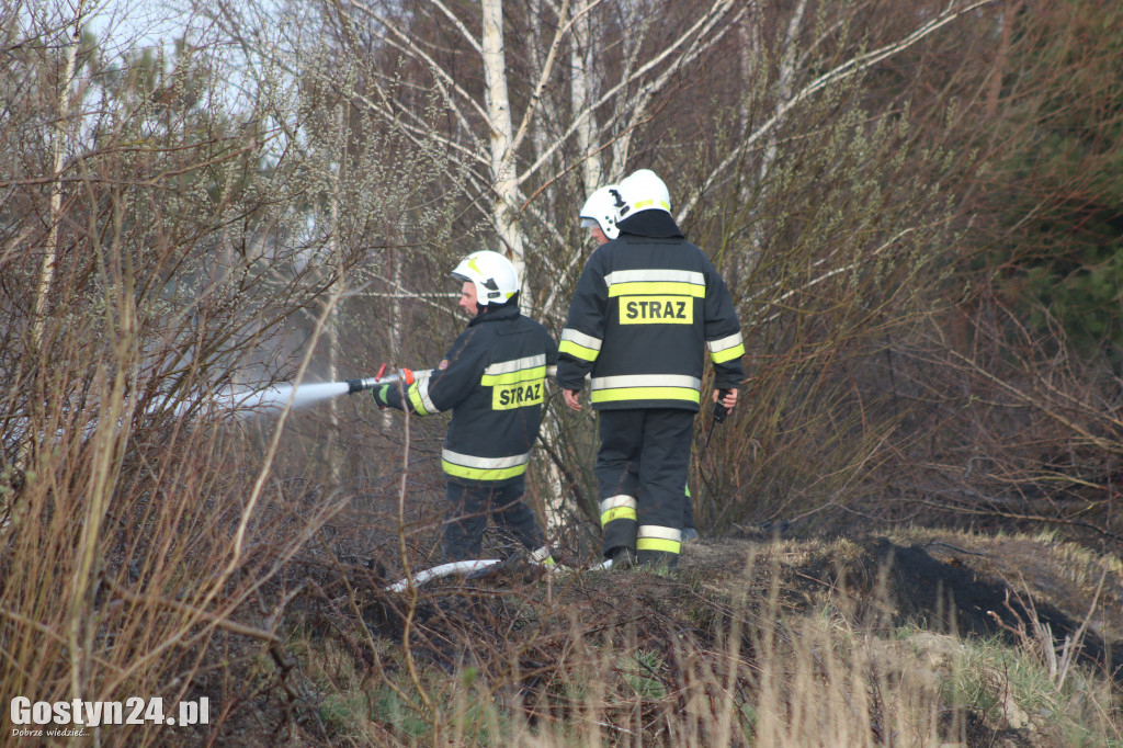 Pożar przy polnej drodze. W akcji 7 zastępów strażaków