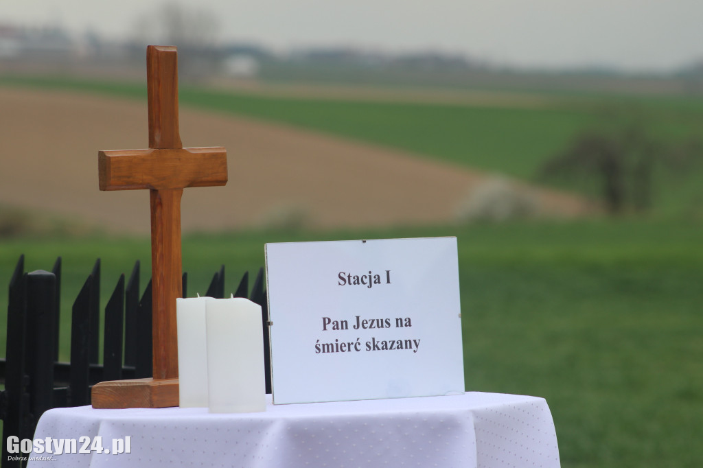 Droga Krzyżowa wioskami w gminie Krobia