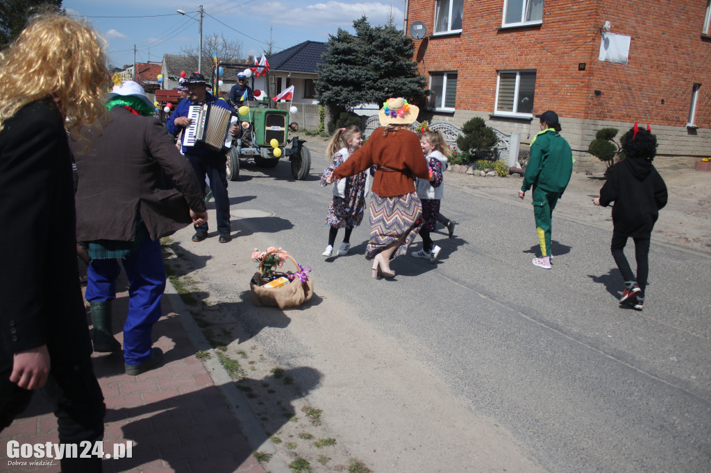 Wodzenie Niedźwiedzia w Lany Poniedziałek w Bączylesie
