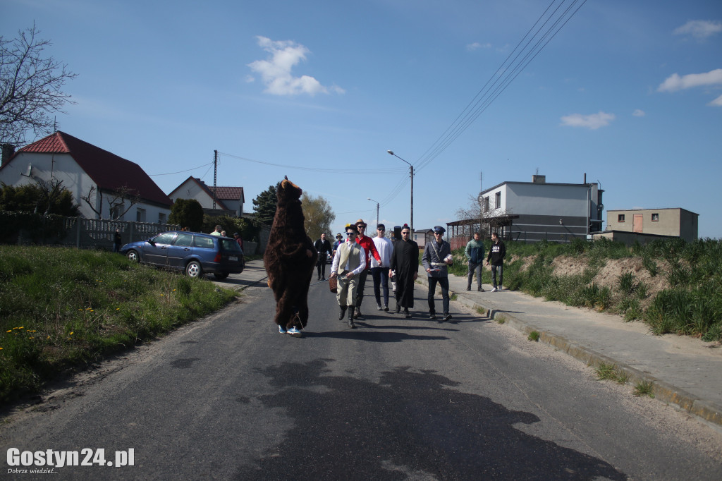 Kominiarze przeszli w Lany Poniedziałek przez Zalesie