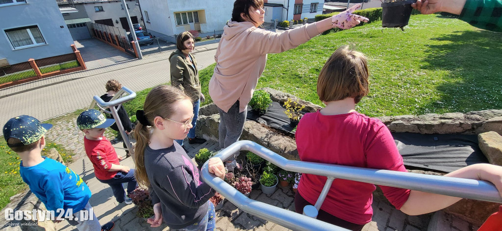 Akcja sadzenie krzewów i kwiatów przy GOK Hutnik