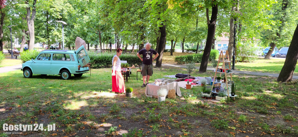 Kulturalny piknik w gostyńskich plantach