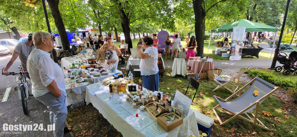 Kulturalny piknik w gostyńskich plantach