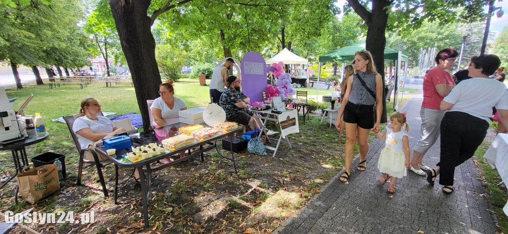 Kulturalny piknik w gostyńskich plantach