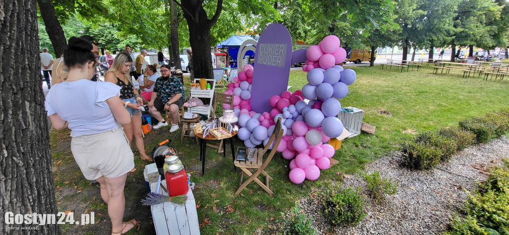 Kulturalny piknik w gostyńskich plantach