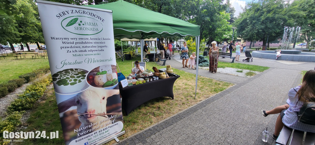 Kulturalny piknik w gostyńskich plantach
